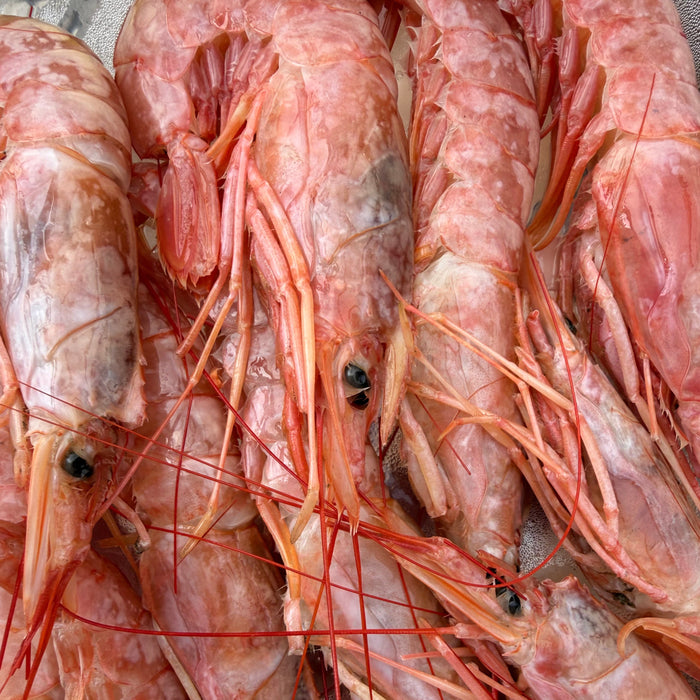 Argentininės krevetės, 10/20, 2kg