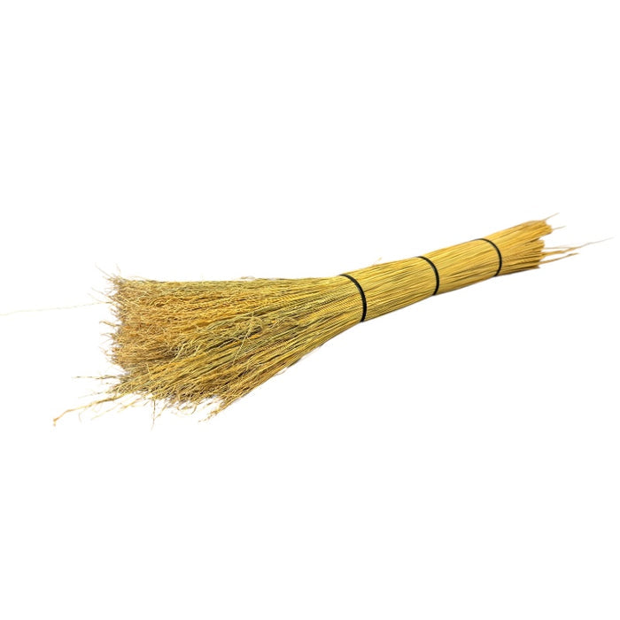 Broomcorn with straw bristles on a white background for broom-making crafts.