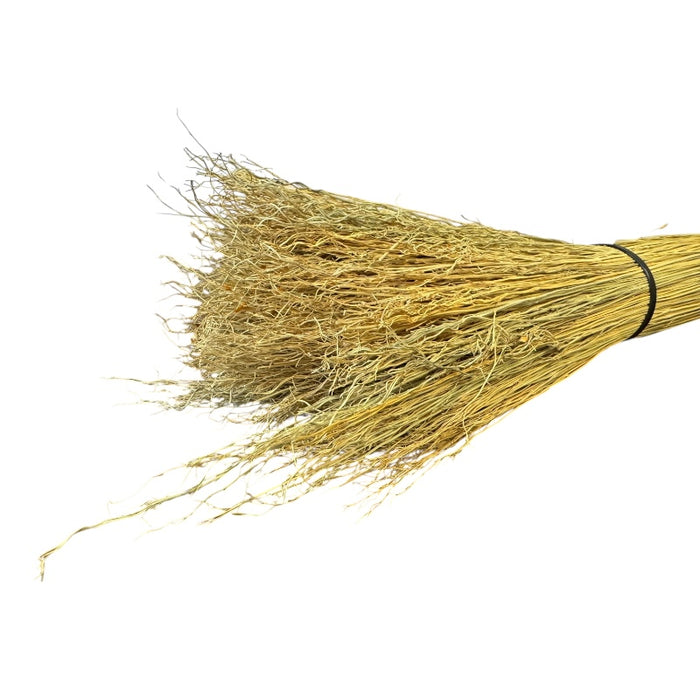 Close up of the end of broomcorn made for making brooms.