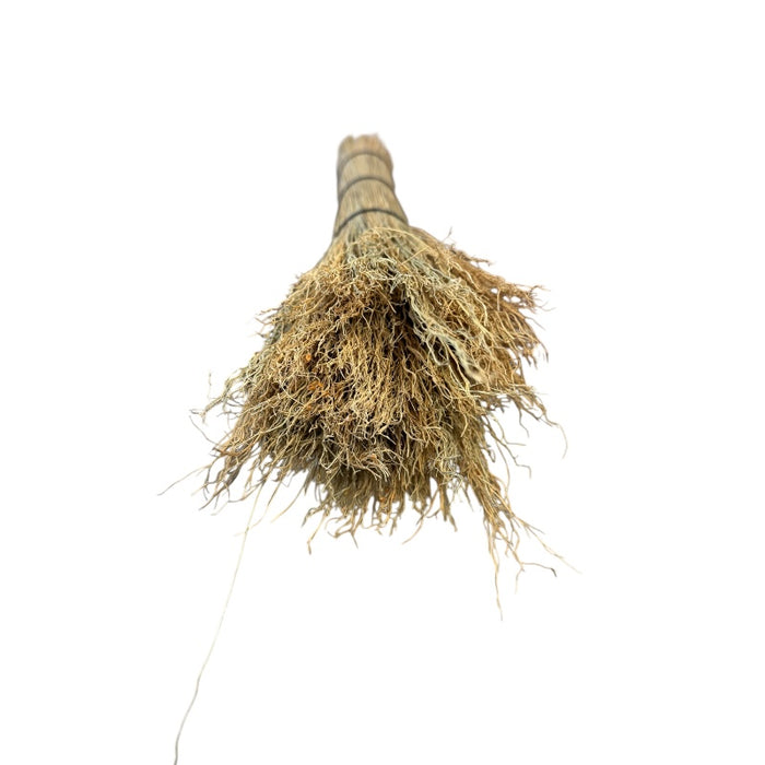 broomcorn bristles from the front on a white background for making brooms.