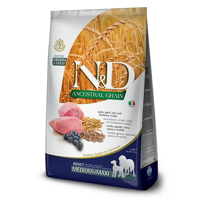 V6H5419E21308CD0D851EA2061E855AA0CBR6739109P1