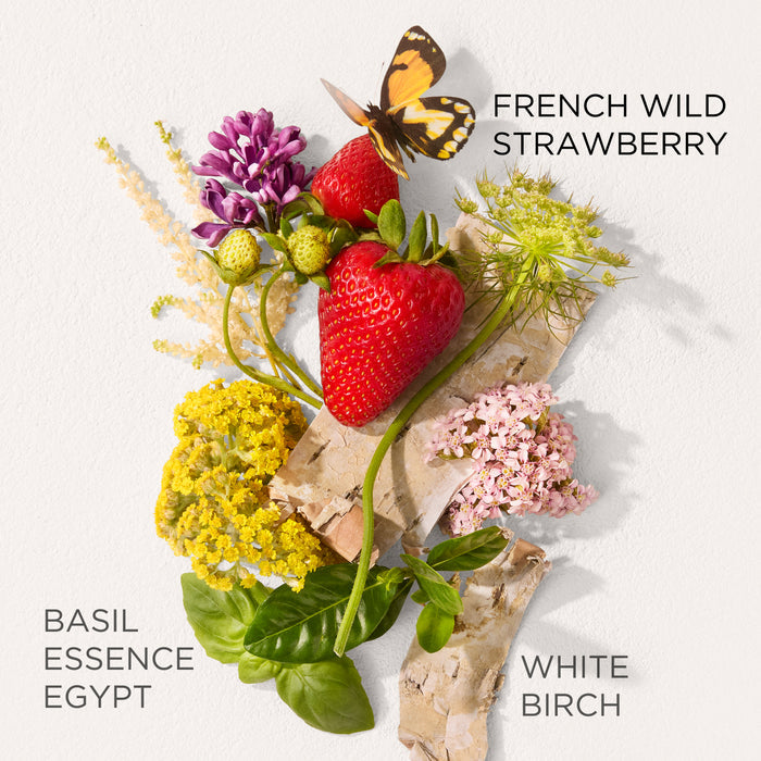 Key fragrance ingredients of Green Tea Strawberry Basil perfume including French wild strawberry, basil and white birch