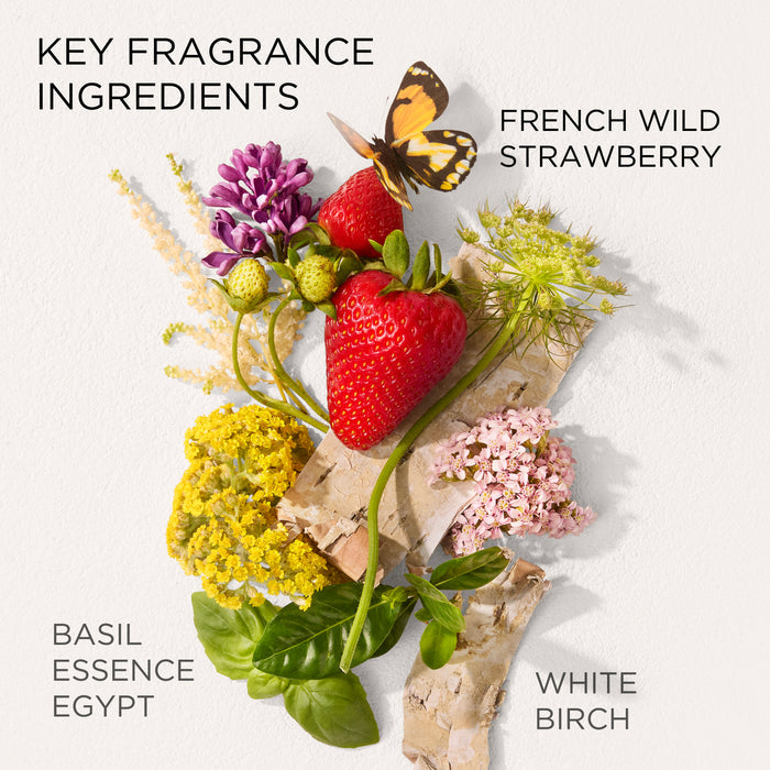 Key fragrance ingredients of Green Tea Strawberry Basil Body Cream including wild strawberry, basil and white birch