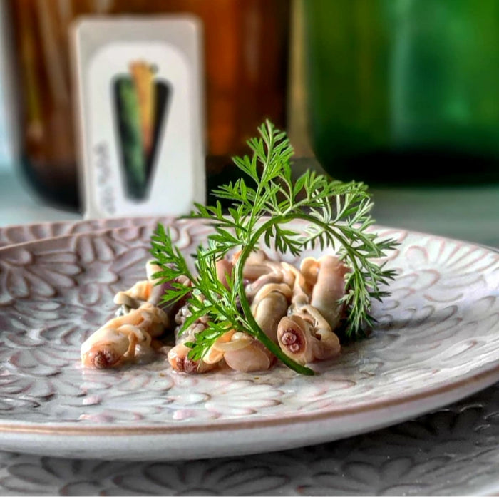 José Gourmet Peileniai "Razor-shells" sūryme, 110g – nuotrauka 4
