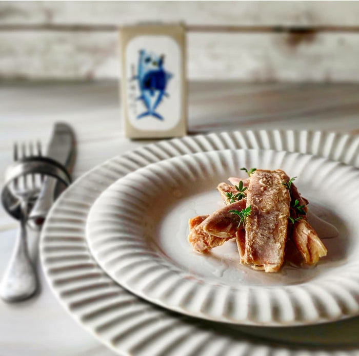 José Gourmet Tuno papilvės – nuotrauka 4