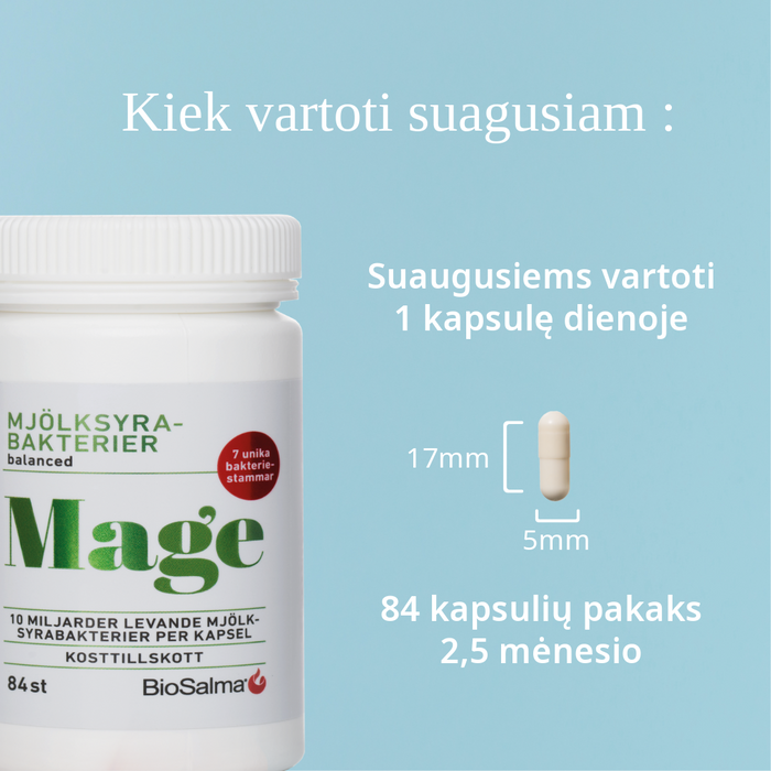 Lakto bakterijos, 84 kapsulių – nuotrauka 5