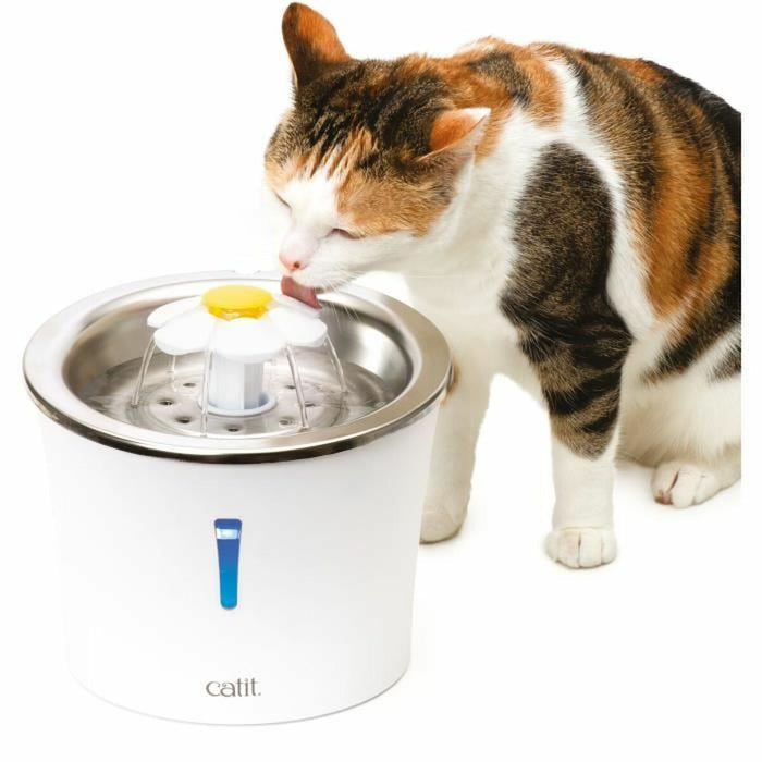 V5H477A6B964284C323F65E126F011C7F64R5779739P2