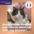 V2H44C51FF2F20A7DA13F031368D16B0E34R7725802P1